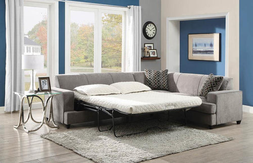 Tess Sectional sleeper.